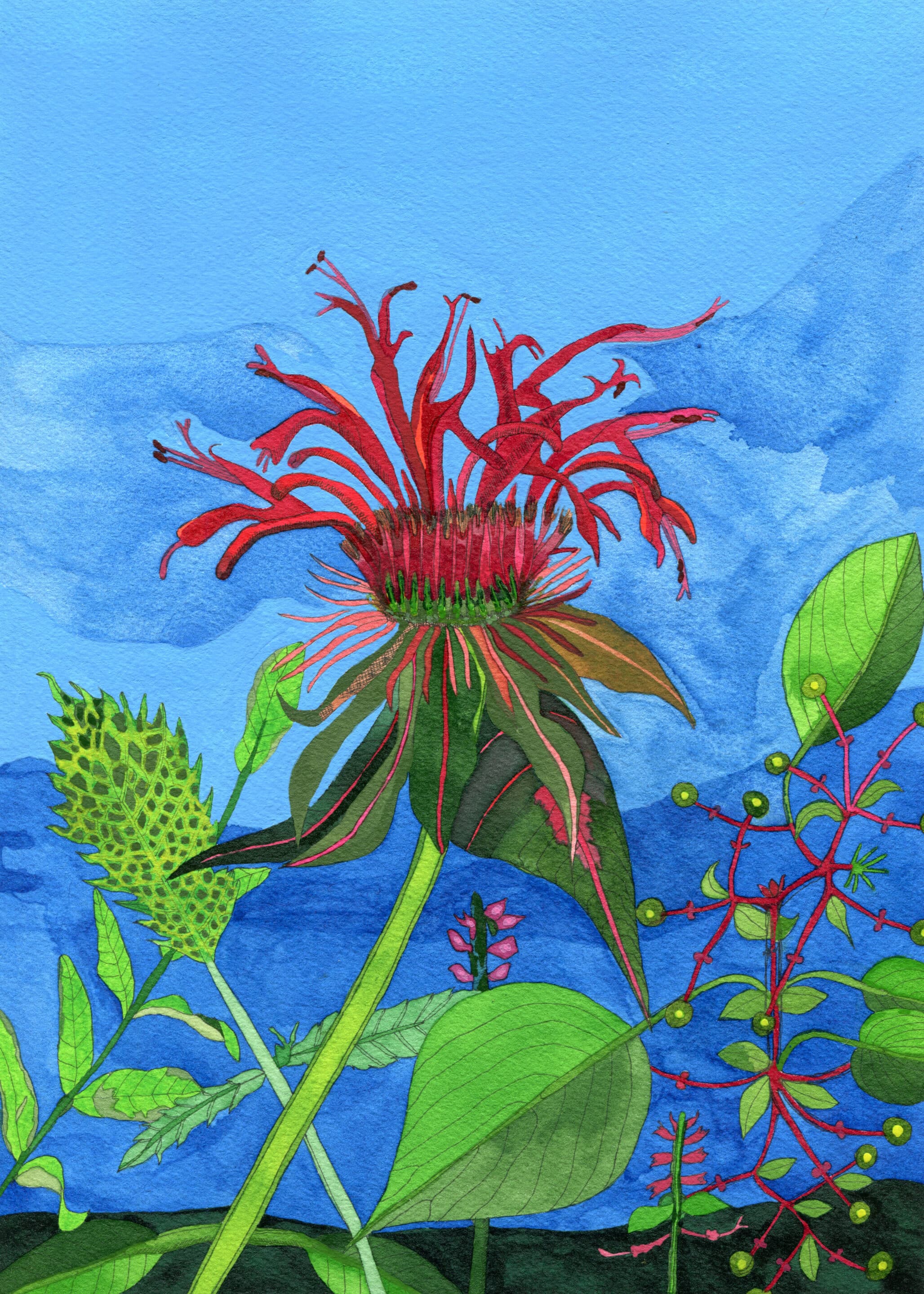 Su25_NovBot_24_Print